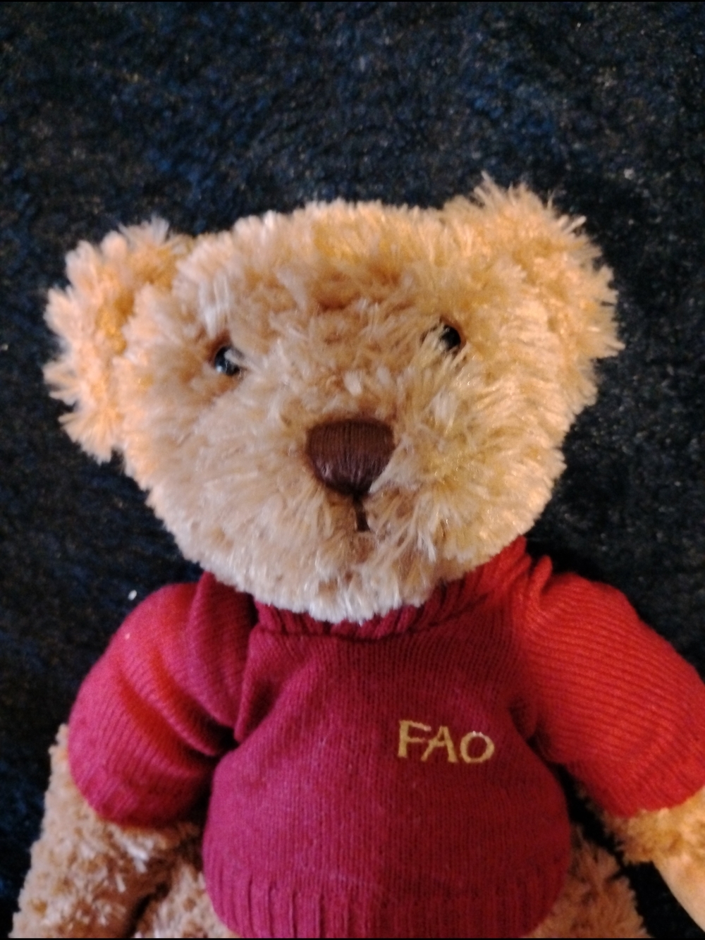 FAO Red Plush Teddy Bear Stuffed Animal